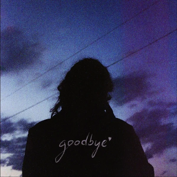 Goodbye