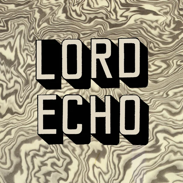 Cosmic Echos