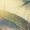 E-Lodie | © Bandcamp