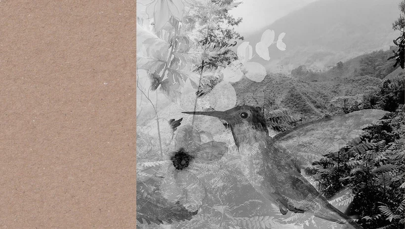 E-Lodie | © Bandcamp