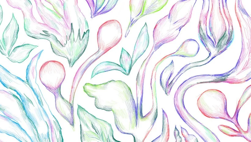 E-Lodie | © Bandcamp