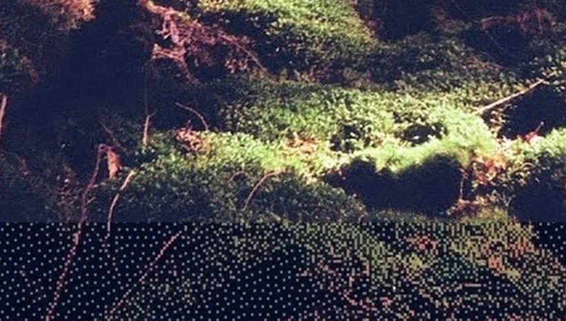 E-Lodie | © Bandcamp