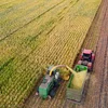 D'Landwirtschaft hat e schwéiert Joer 2022