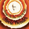 Stevie Wonder - Pastime Paradise
