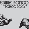 Incredible Bongo Band - Apache