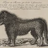 La bête du Gévaudan